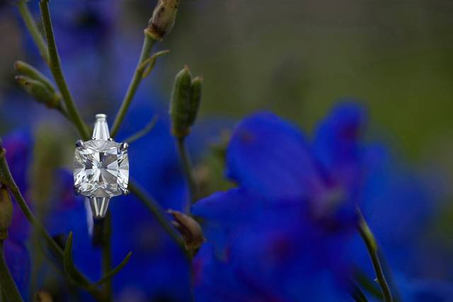 The ring - Ron B. Wilson Photography, Inc