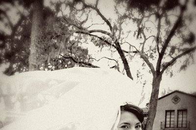 Bride with veil in black and white