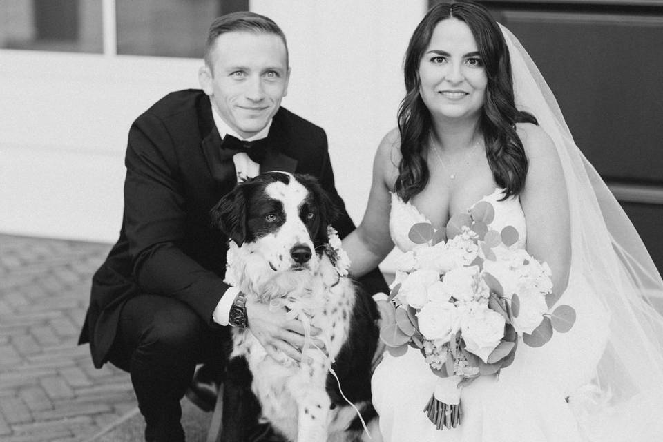 Wedding