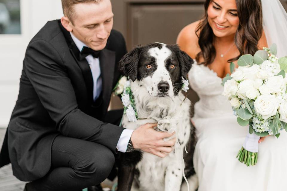 Wedding