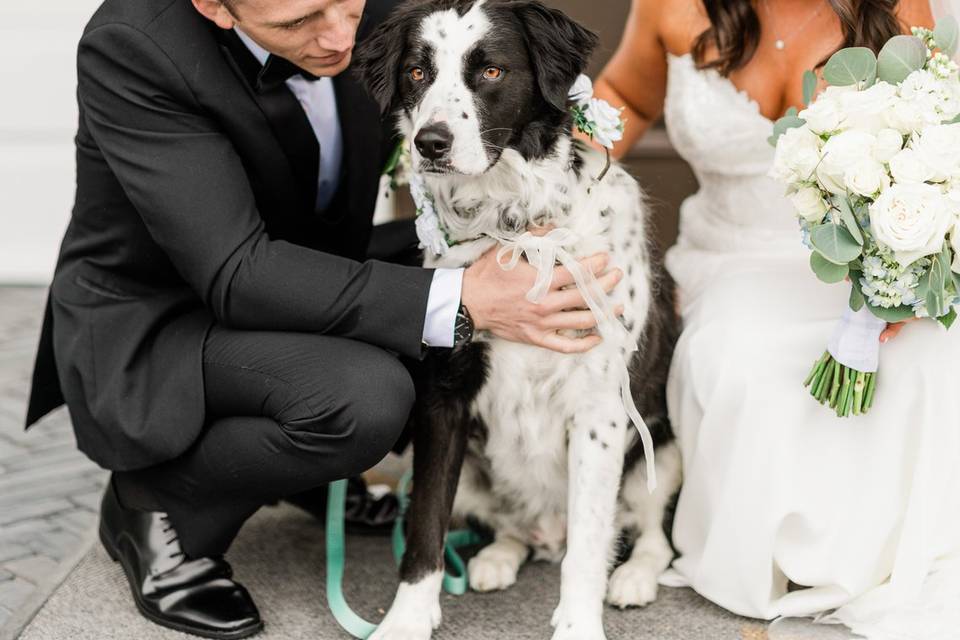 Wedding