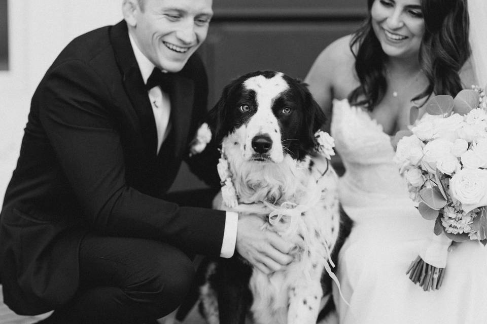 Wedding