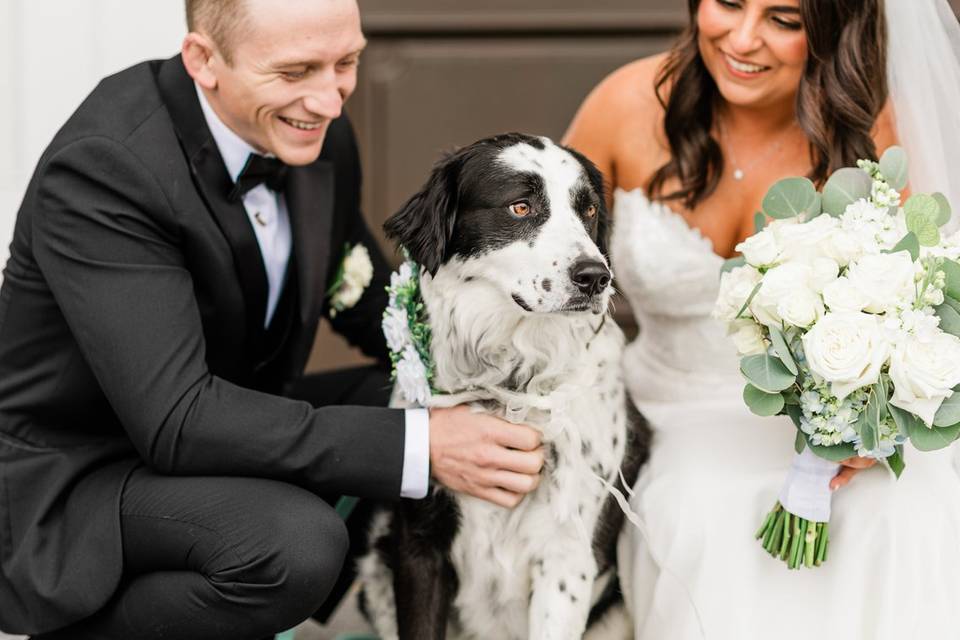 Wedding