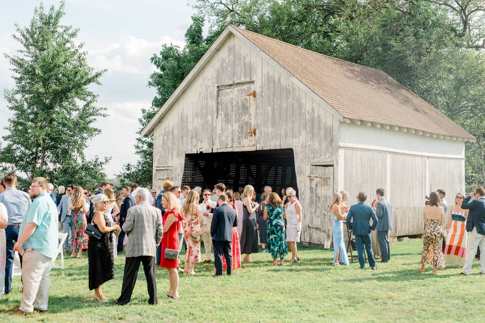 Wedding