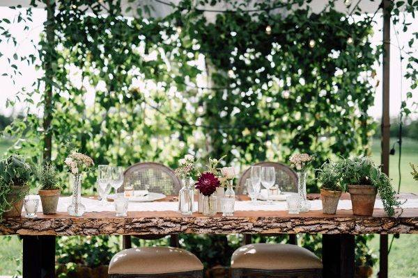 Dandelion Lane Weddings and Events