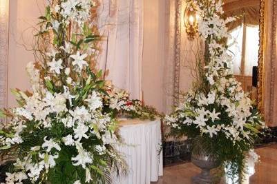 Special touch florist