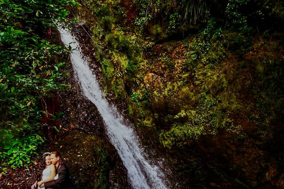 Year round falls
