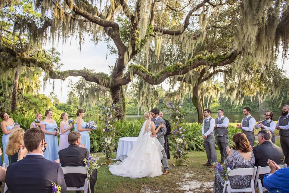 Under moss covered boughs