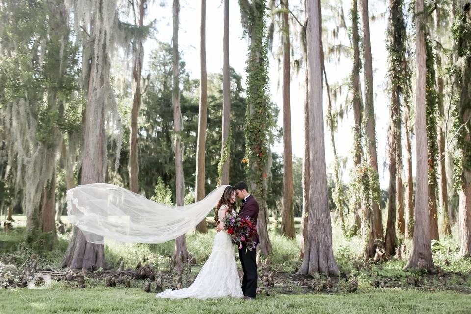 Innisbrook Resort