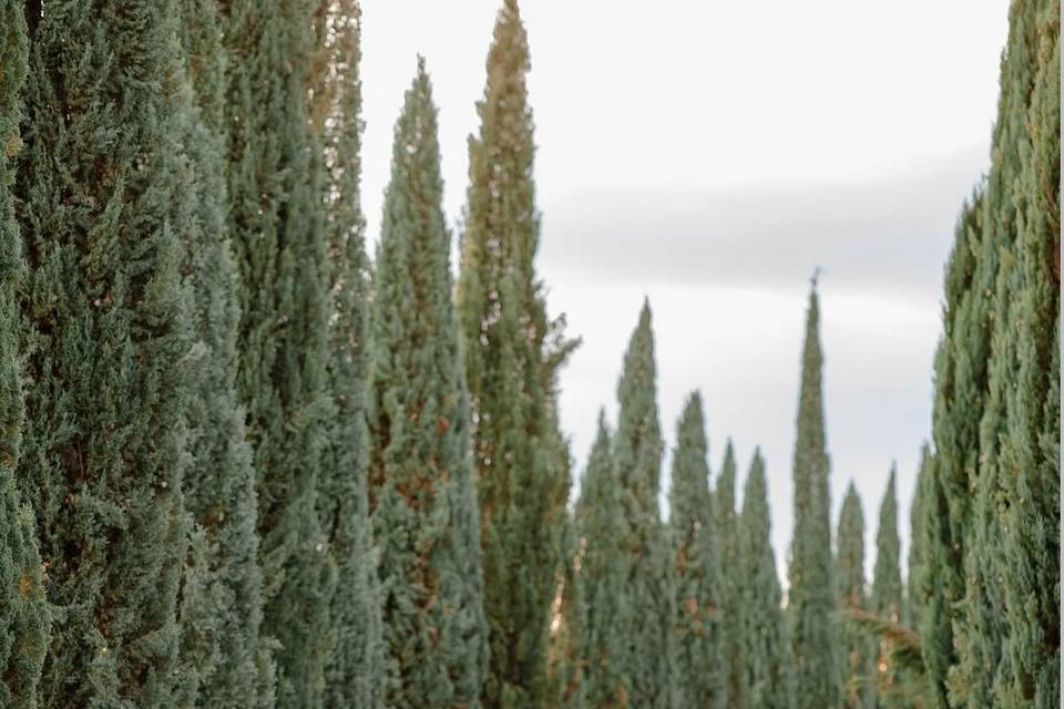 Tuscan panoramic view