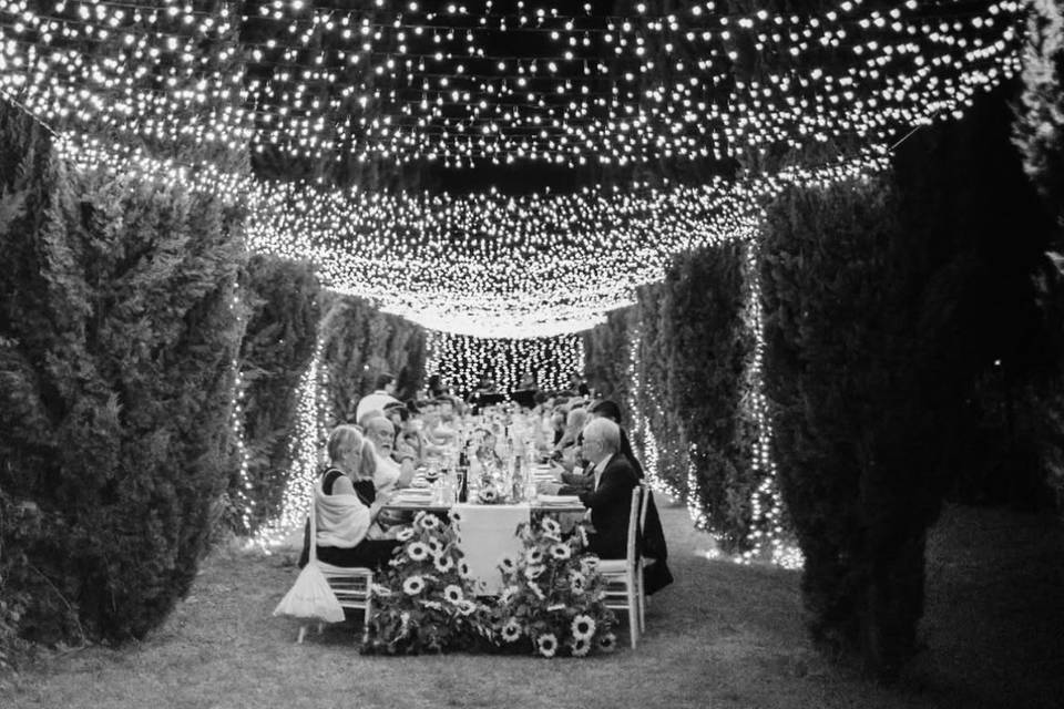 Romantic dinner lights