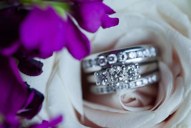 Amy Brown Photography