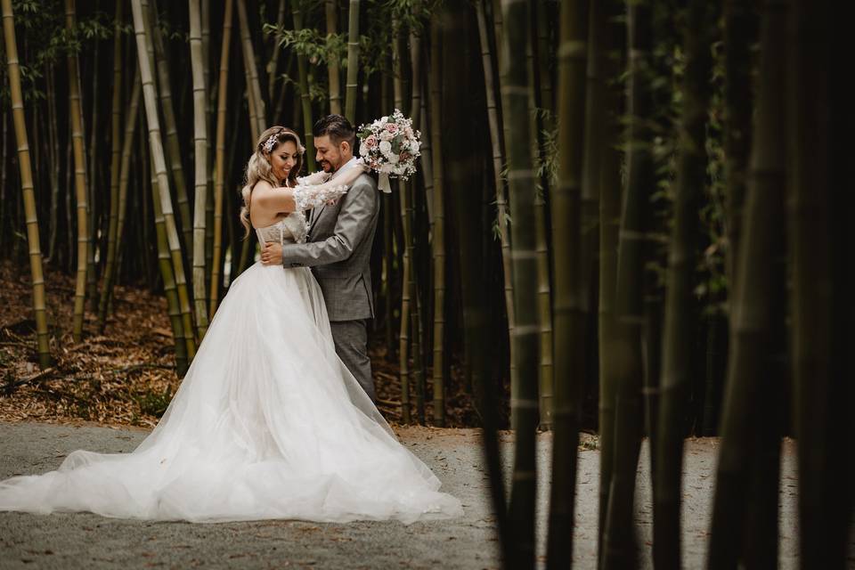 Bamboo Grove