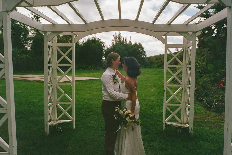 On the lawn