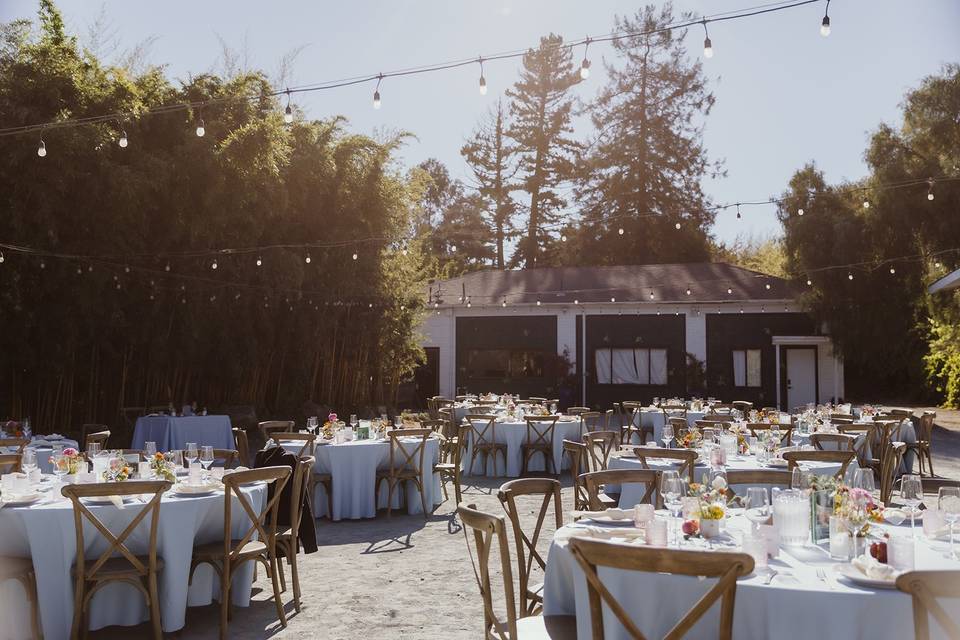 Reception Space