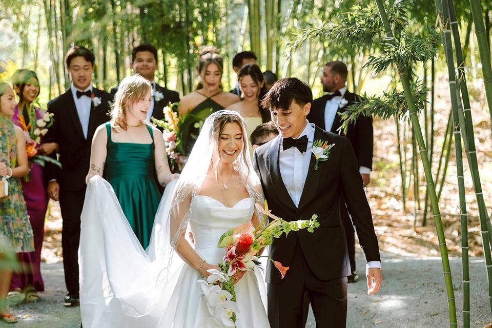 Bamboo grove