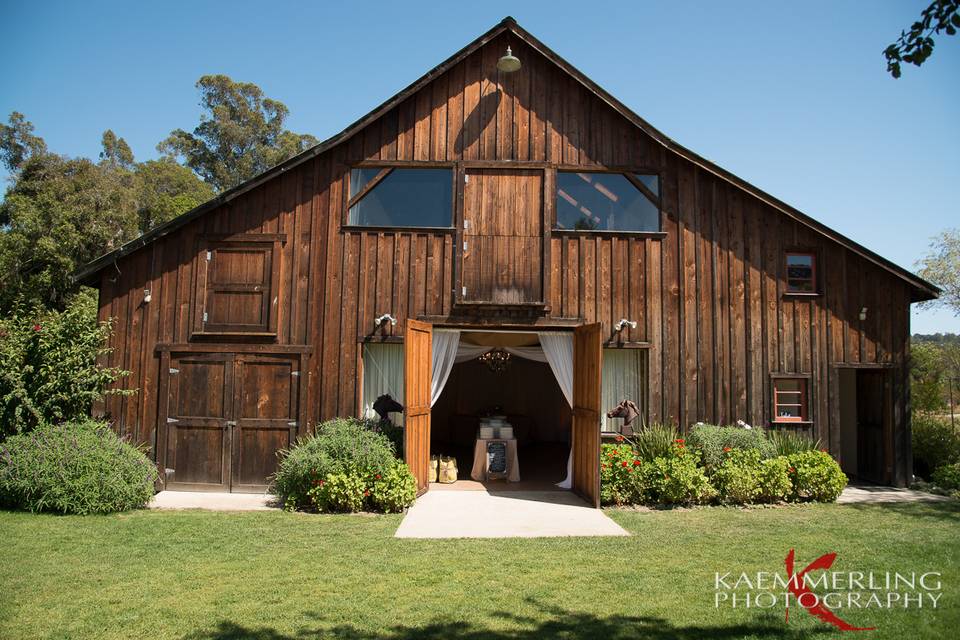 The barn is a fantastic backdrop for reception!