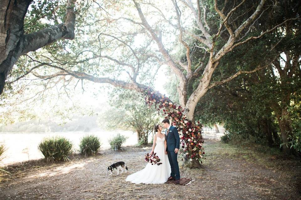 There are no shortage of beautiful trees to take photos under