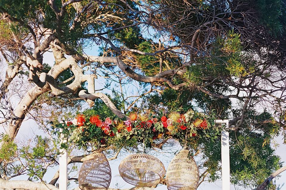 Https://www.amauiweddingday.co