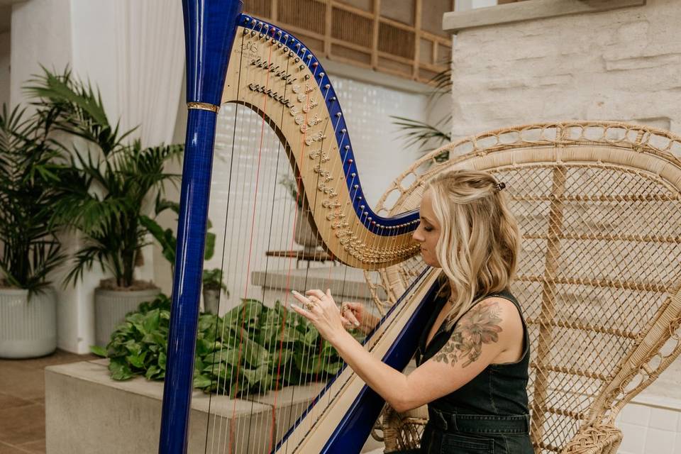 Adrienne Knauer Harpist