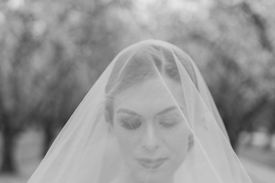 Bridal portrait with veil