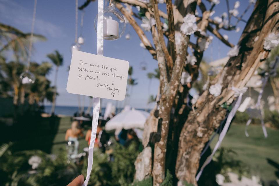 Sharing a Wish