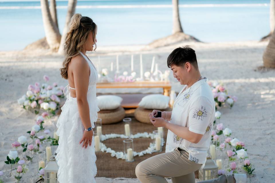 The Proposal Moment