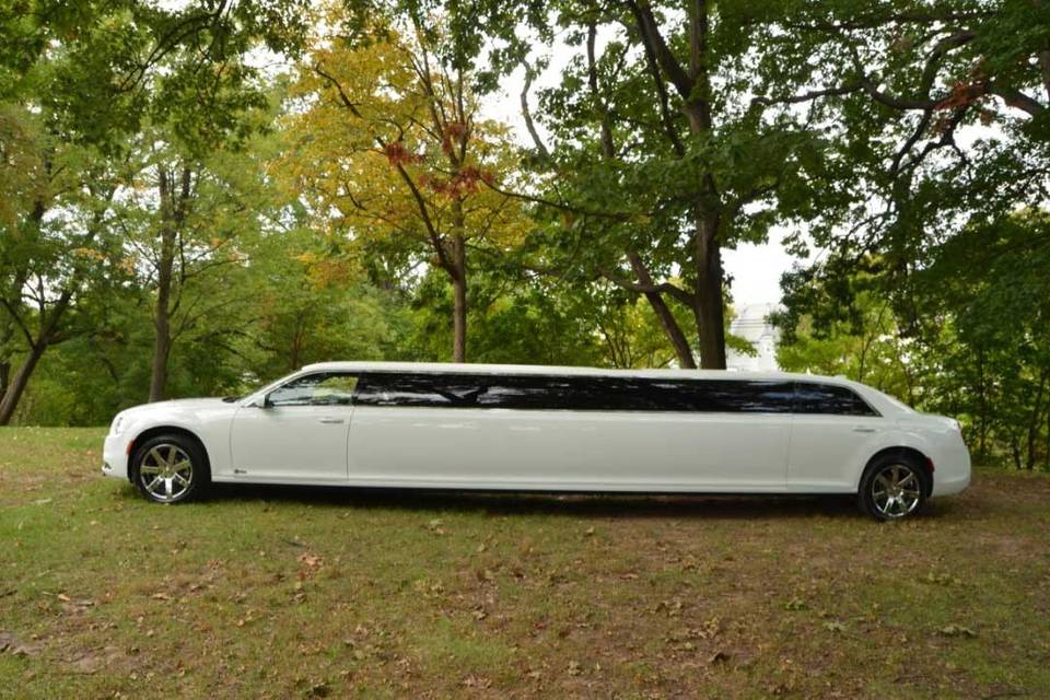 Left side of the limousine