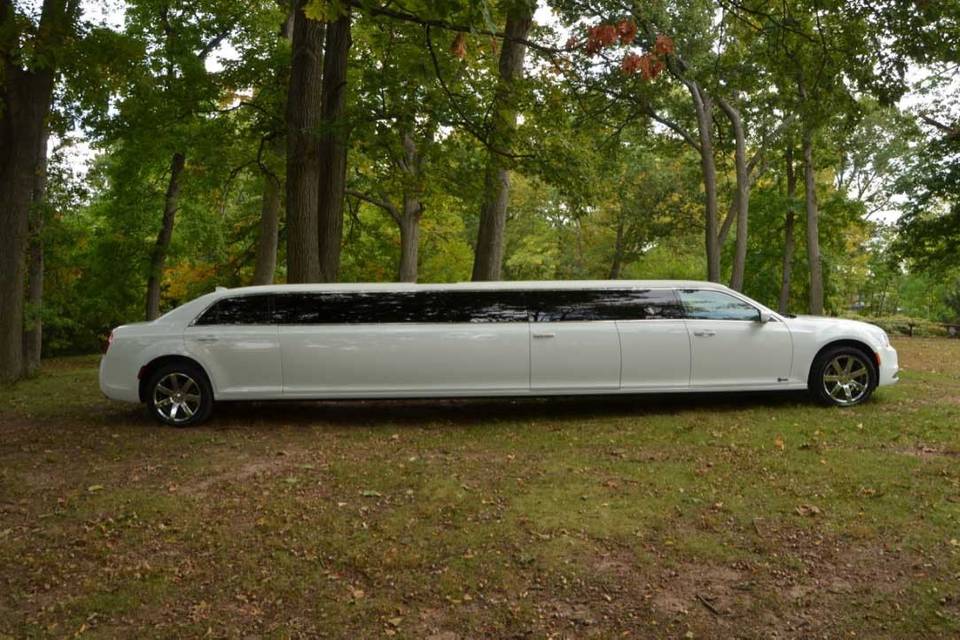 Right side of the limousine