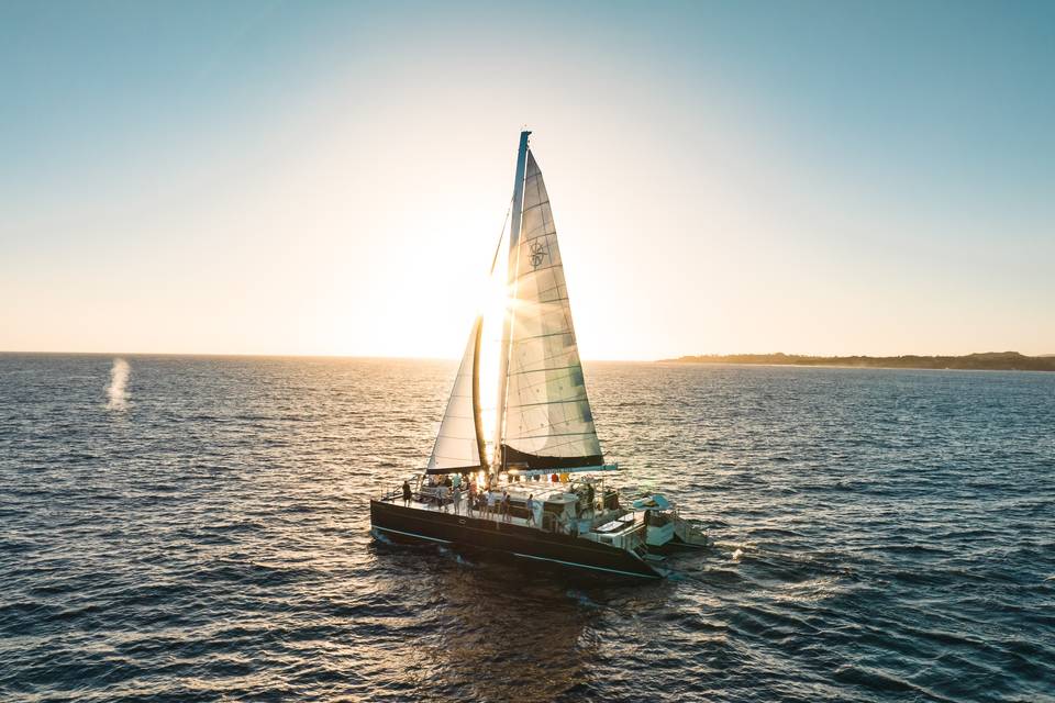 Capt. Andy's Sailing Adventure