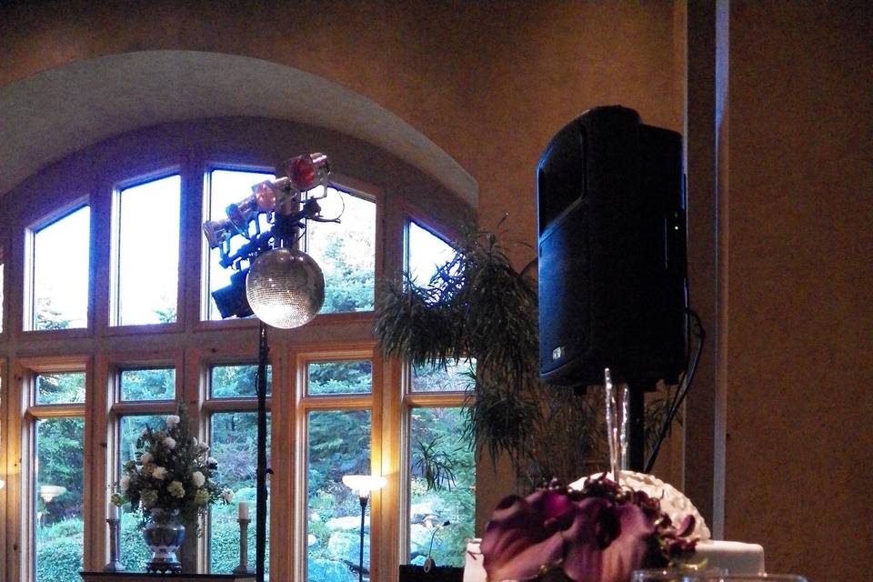 Wedding reception sound