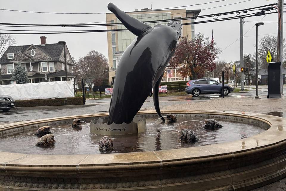 Long Island Aquarium: 12/2/25
