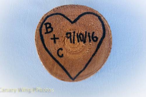 CanaryWing Photos