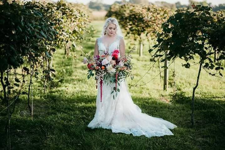 Four Corner Winery Wedding Venue