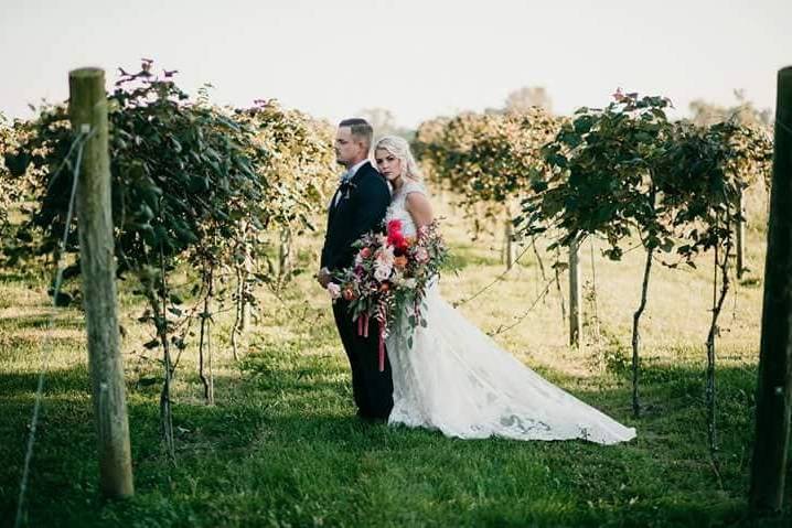 Four Corner Winery Wedding Venue
