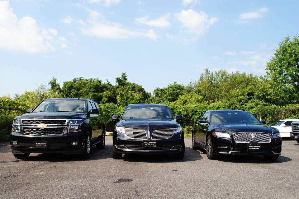 Ace Limousine & Airport Service