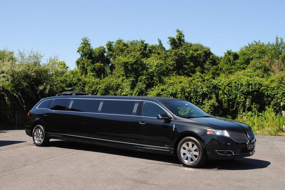 Ace Limousine & Airport Service