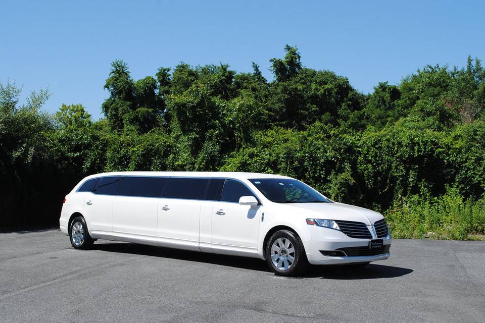 Ace Limousine & Airport Service