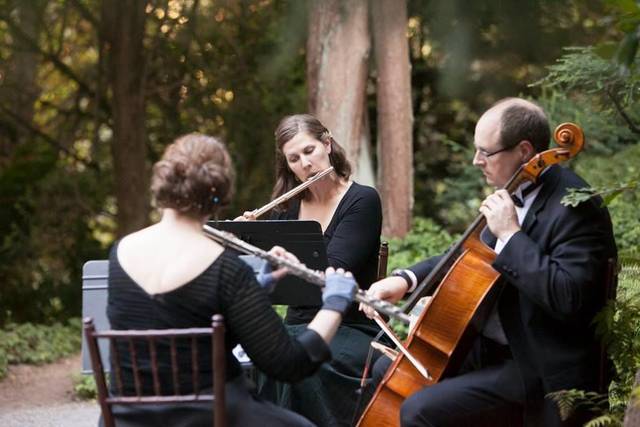 Windsong Classical Trio
