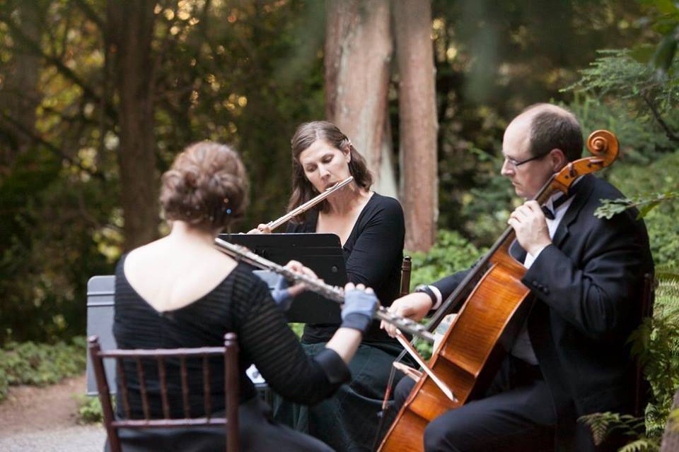 Windsong Classical Trio