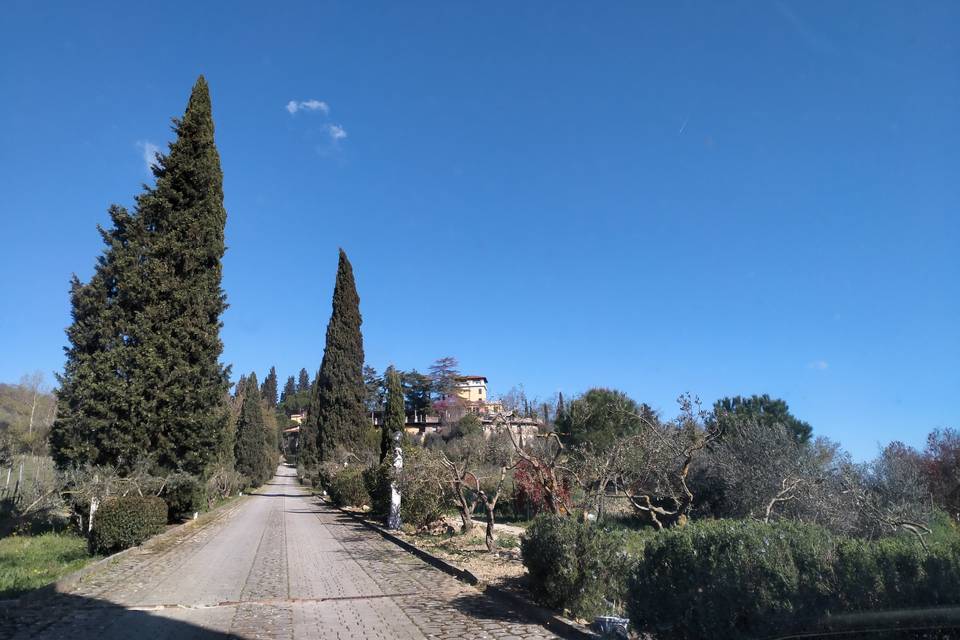 Villa Vittoria