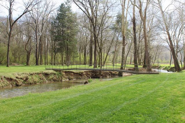 Creek with bridge