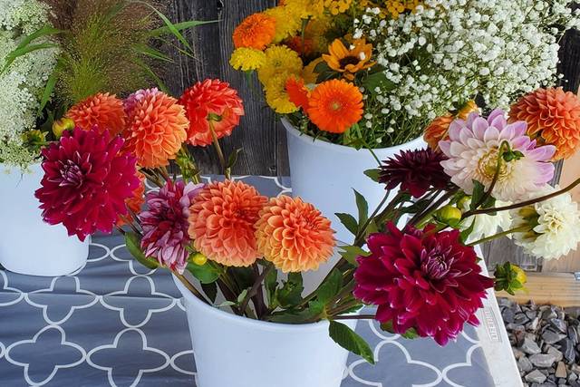 Little River Flower Farm