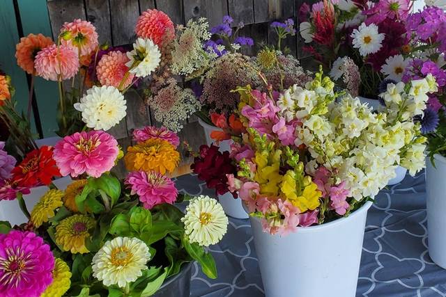 Little River Flower Farm