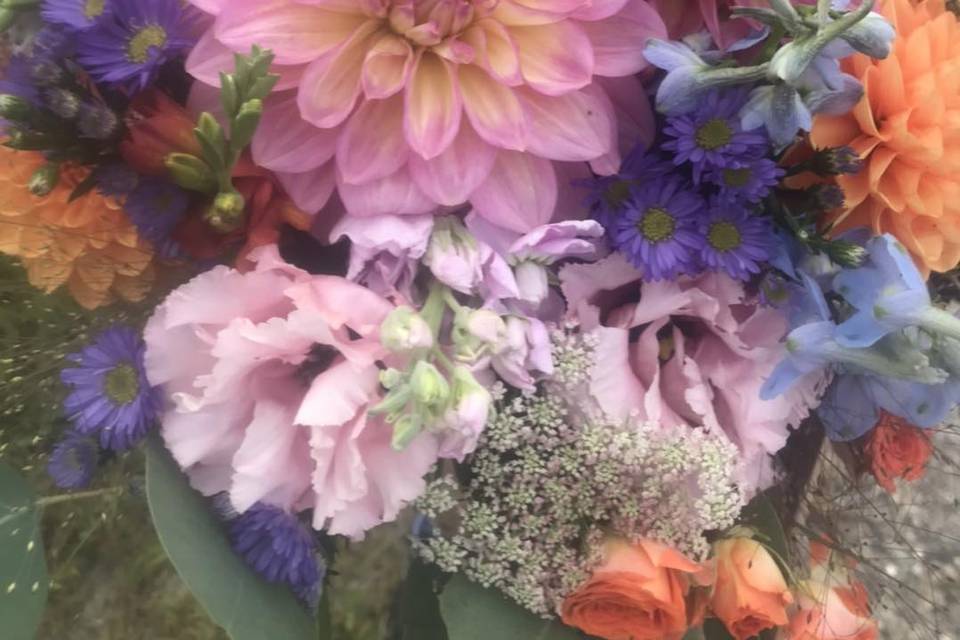 Little River Flower Farm