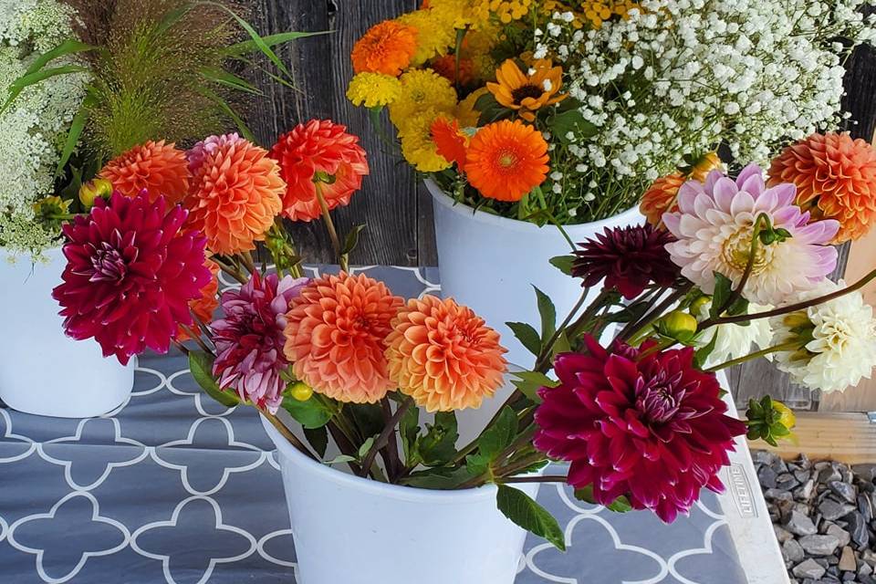 Little River Flower Farm