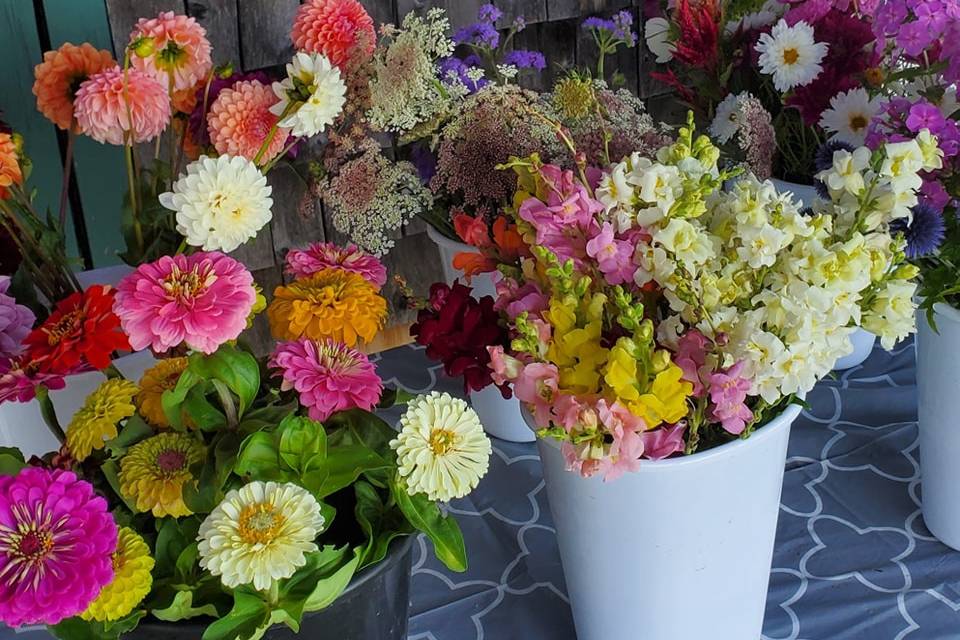 Little River Flower Farm