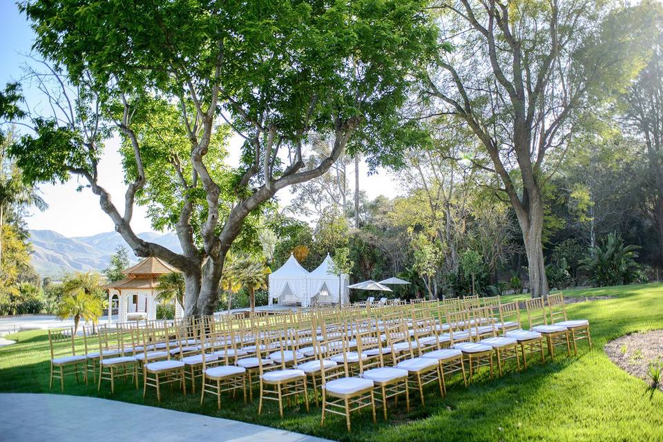 Ceremony setup