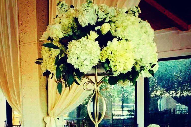 Mancino Arches/Decor