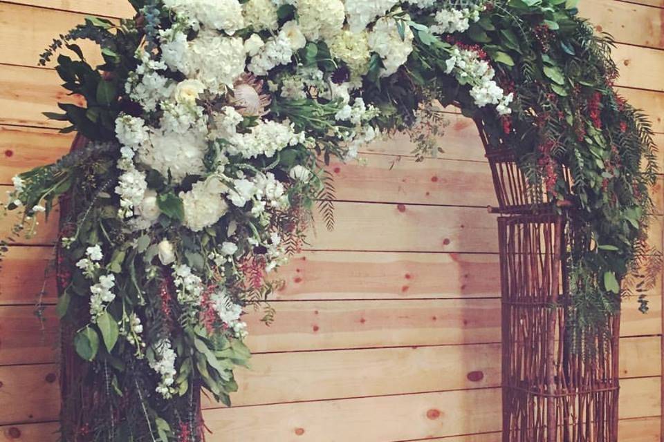 Mancino Arches/Decor
